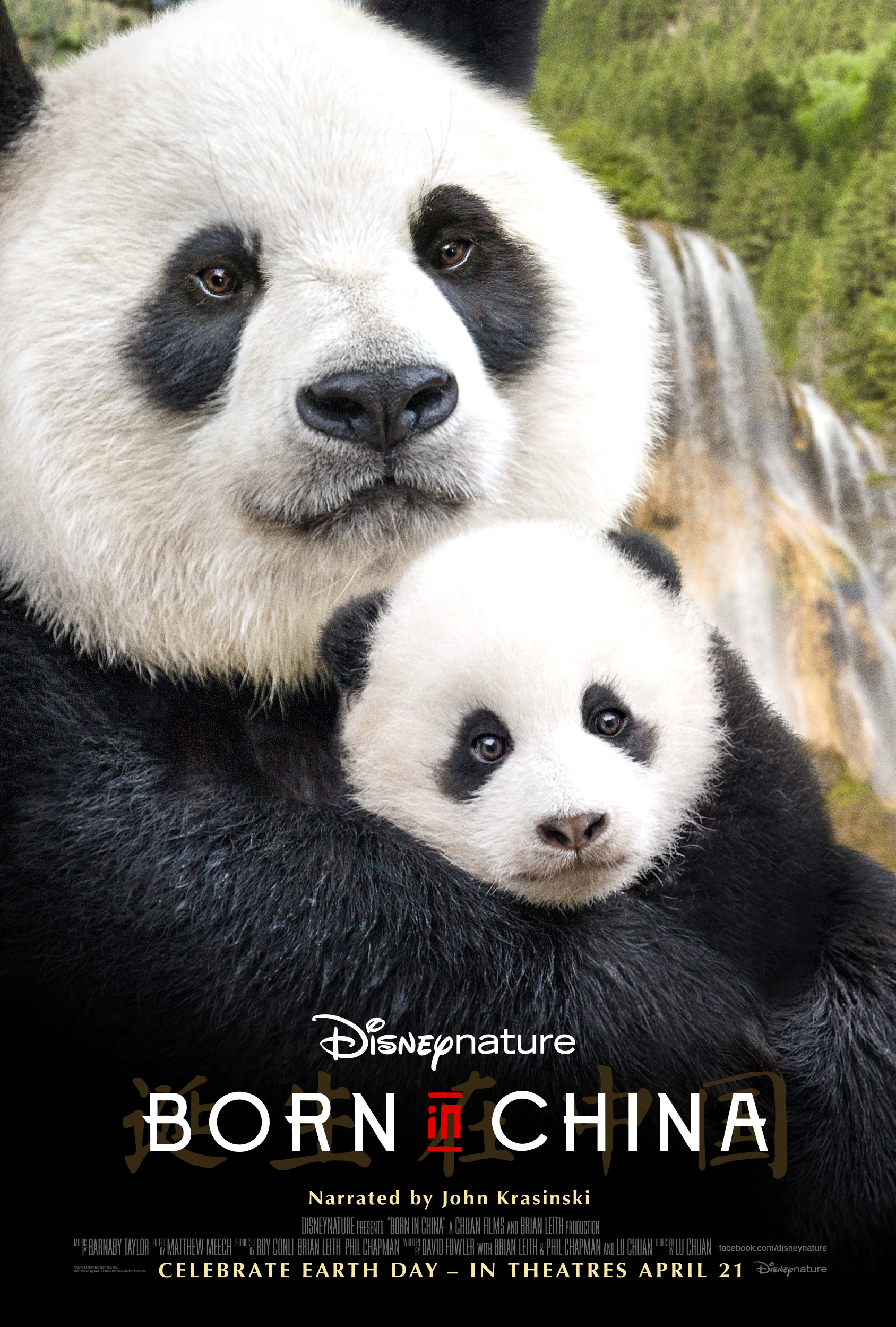 Born in China Disney Nature In Theaters April 21st - Celebrate Earth Day
