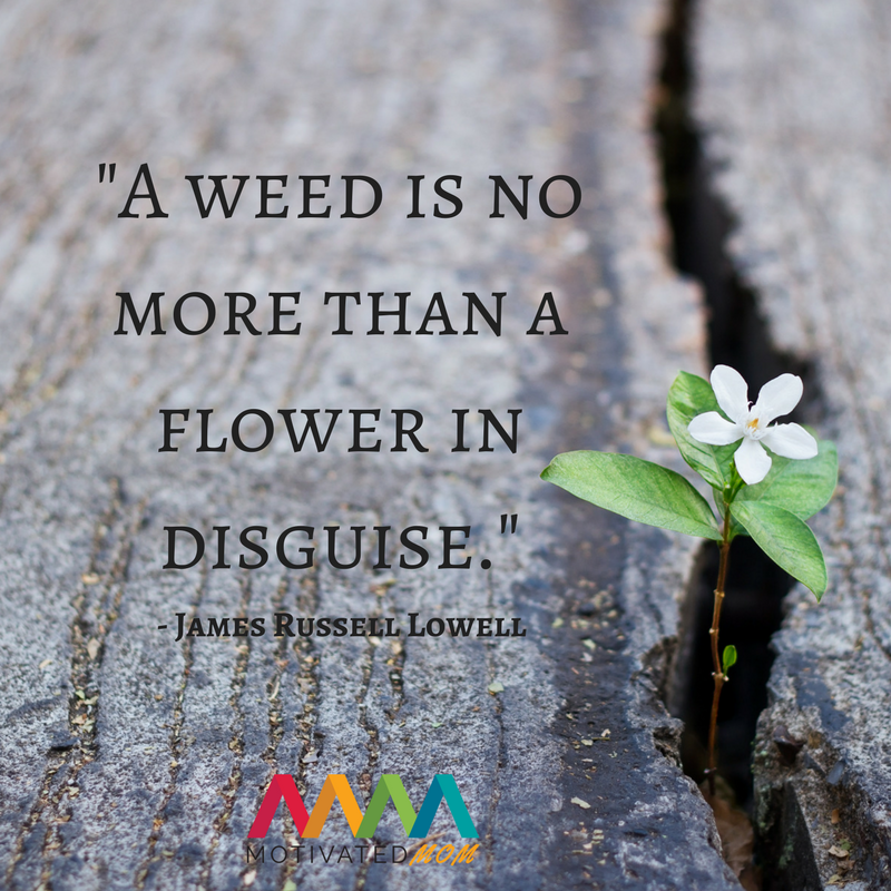 a-weed-is-no-more-than-a-flower-in-disguise-james-Russell-Lowell-quote