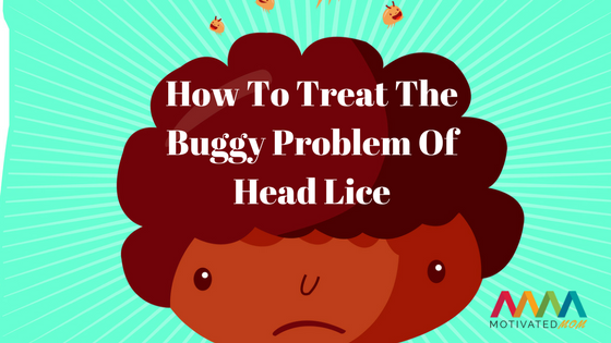 How To Treat The Buggy Problem Of Head Lice