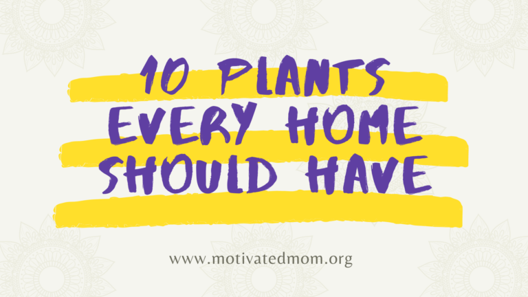 10 Plants Every Home Should Have